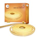 led light and bulb