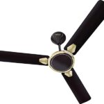 black fan