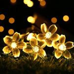 LED fairy lights